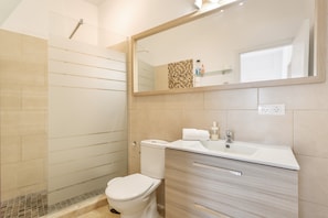 Shower, hair dryer, towels
