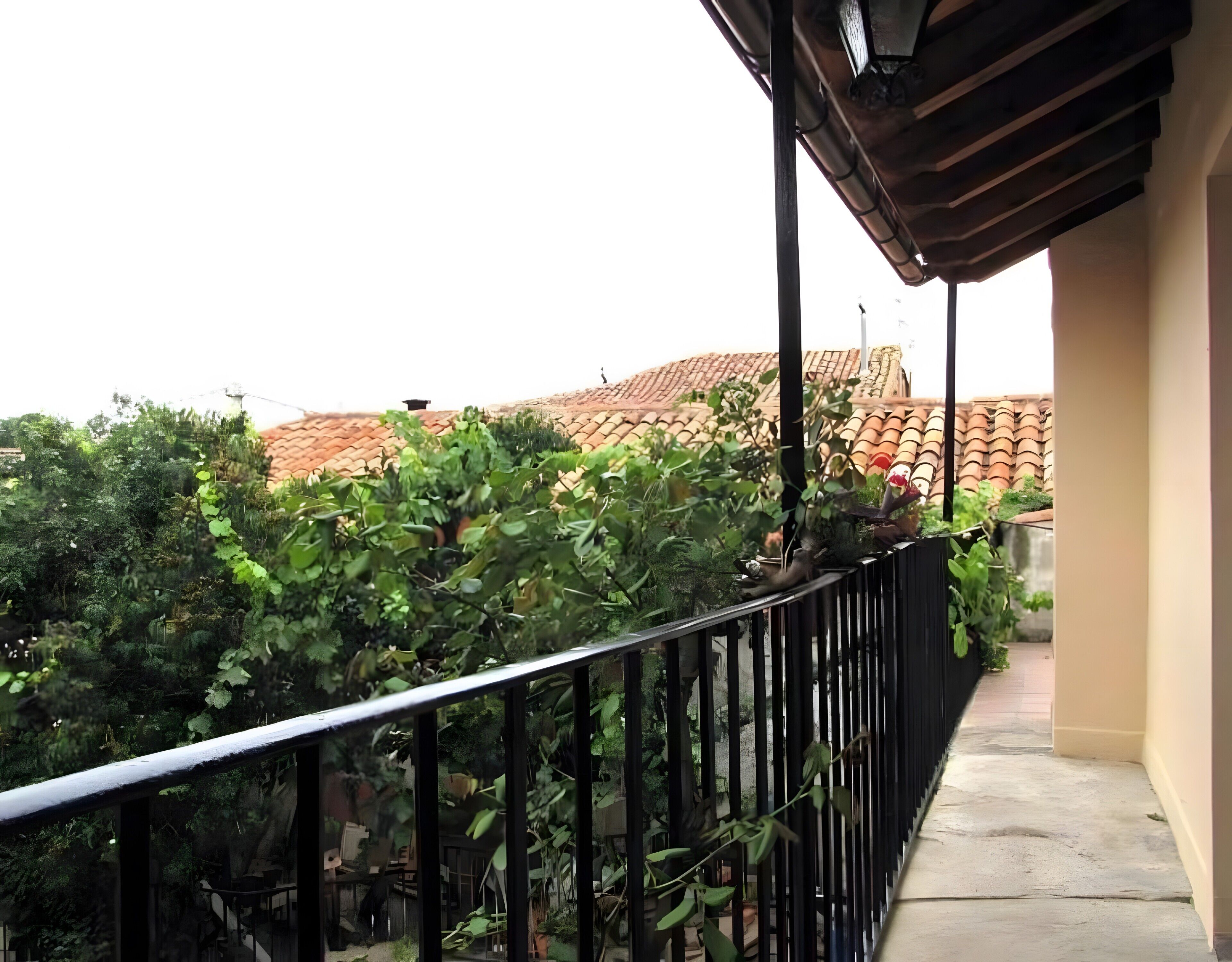 Een balkon met een metalen hekwerk, uitzicht op een dak met rode tegels en weelderige groene begroeiing.