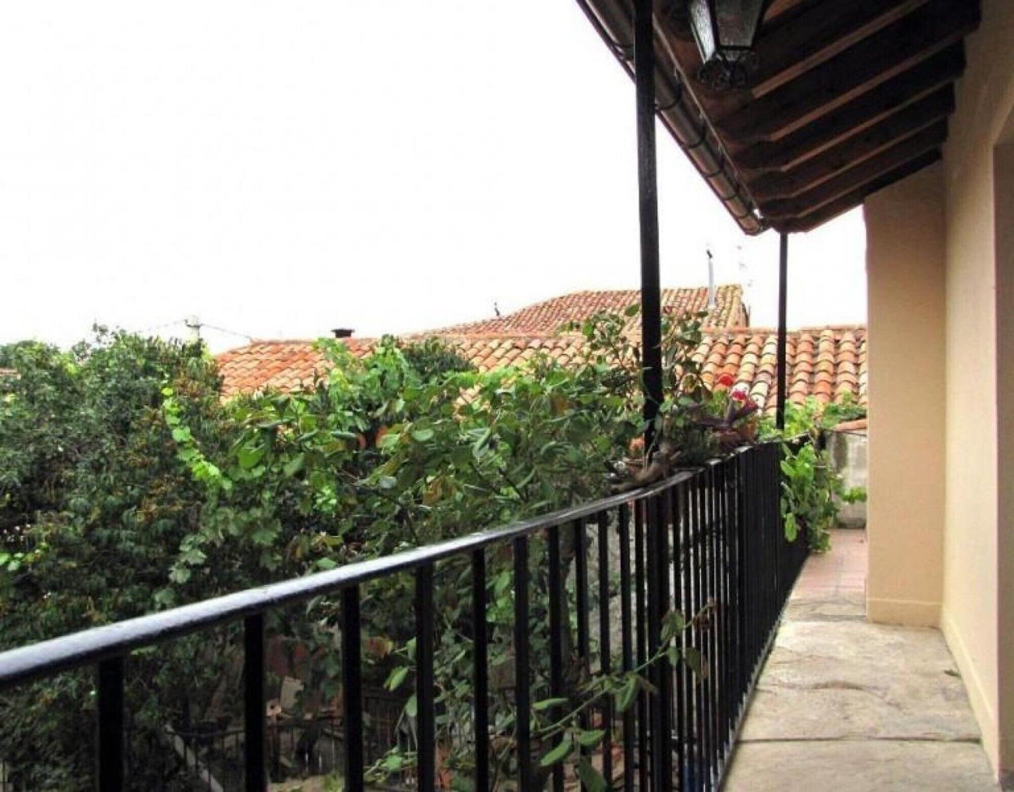 Een balkon met een metalen hekwerk, een pannendak op de achtergrond en weelderige begroeiing in de voorgrond.