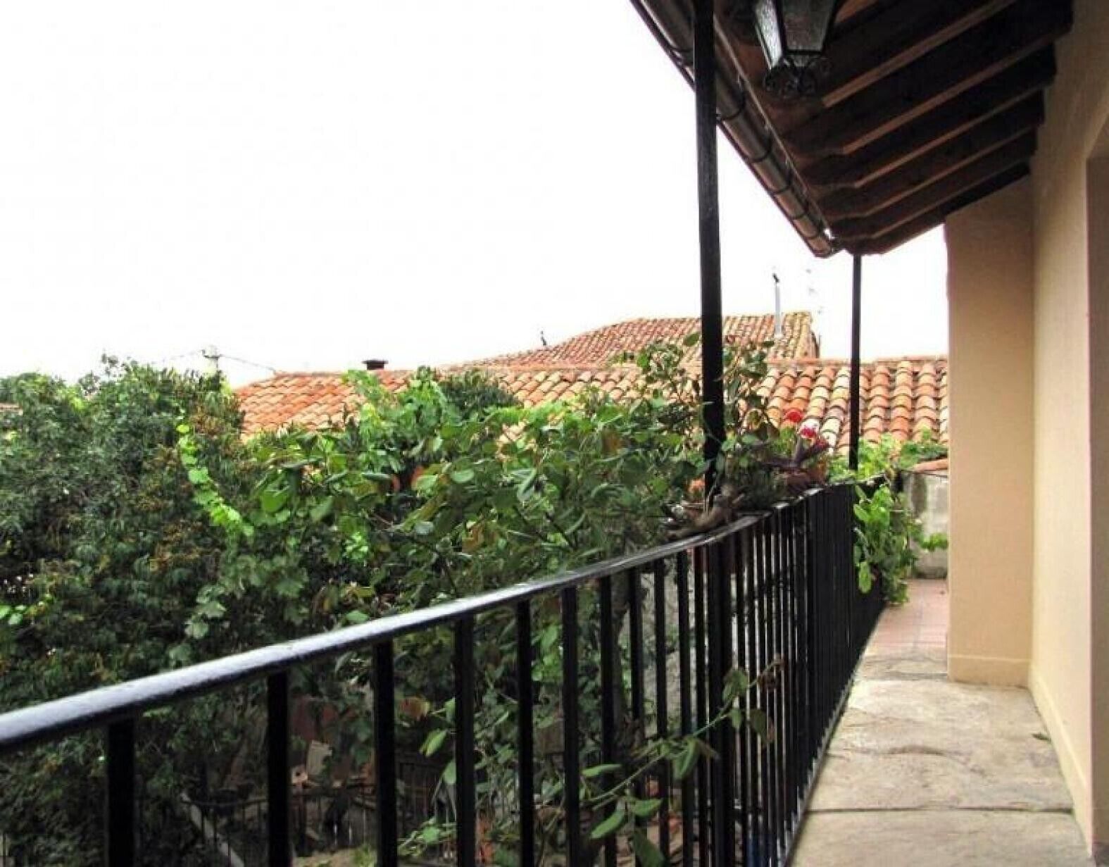Ein Balkon mit Metallgeländer, ein Ziegeldach im Hintergrund und dichtes Grün.