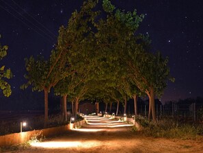 Property grounds - Country House 'Es Pouet' with Mountain View, Wi-Fi and Air Conditioning (Binissalem)