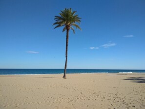 A beach with a single palm tree and a clear blue sky. - Apartment 'Duplex En Gran Alacant' with Shared Pool, Wi-Fi and Air Conditioning (Puerto Marino)