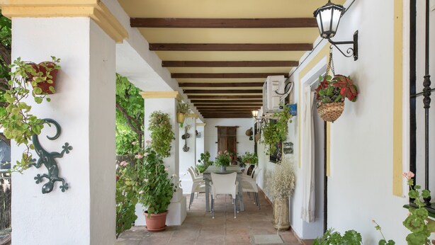 Un corredor exterior cubierto con plantas en macetas, una mesa con sillas y una lámpara colgante.
