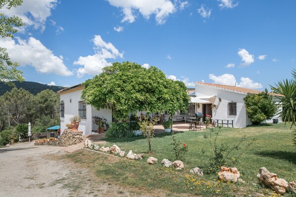 A white building with a tiled roof, a garden with rocks and plants, and a clear blue sky.
