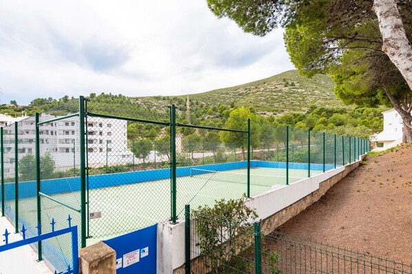Terrain de sport