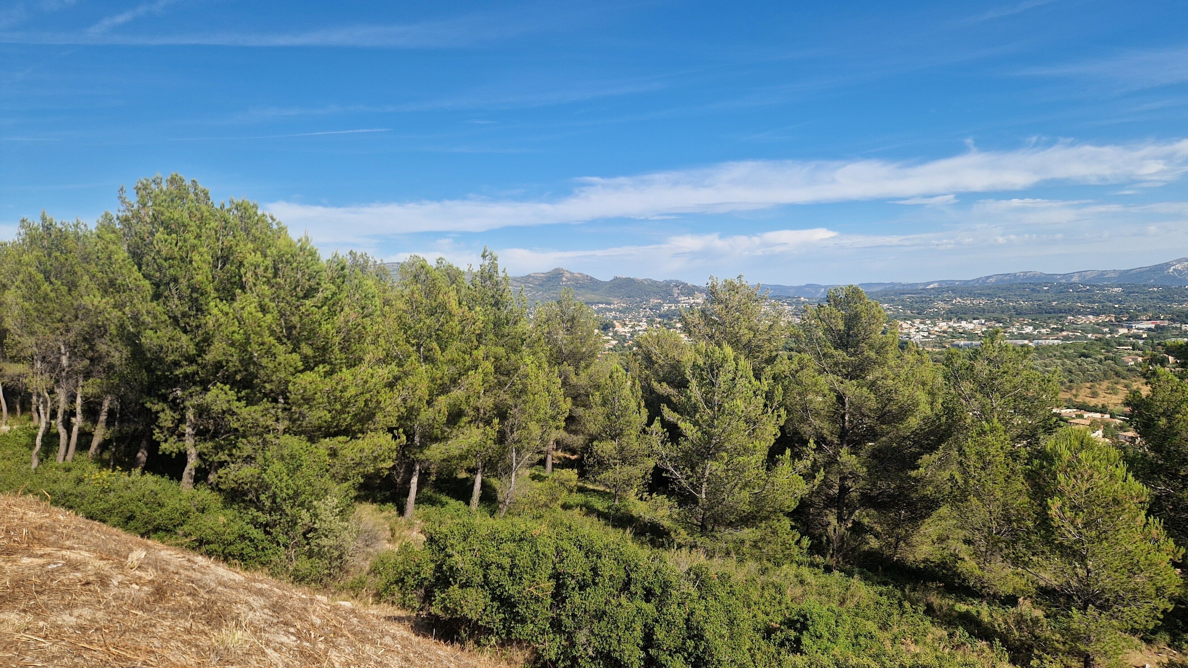 A mountainous landscape with dense pine forests and a distant town.