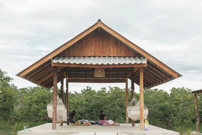 Little Forest Chiang Mai