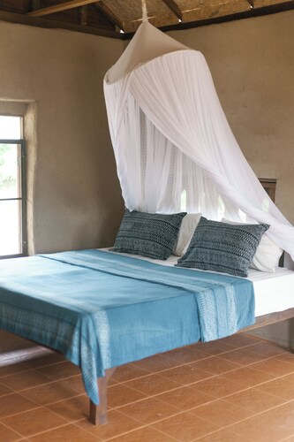 Little Forest Chiang Mai