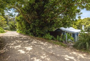A gravel driveway leading to a house surrounded by dense foliage.