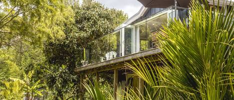 Une maison moderne en verre, dotée d’une terrasse en bois et entourée d’une végétation luxuriante.
