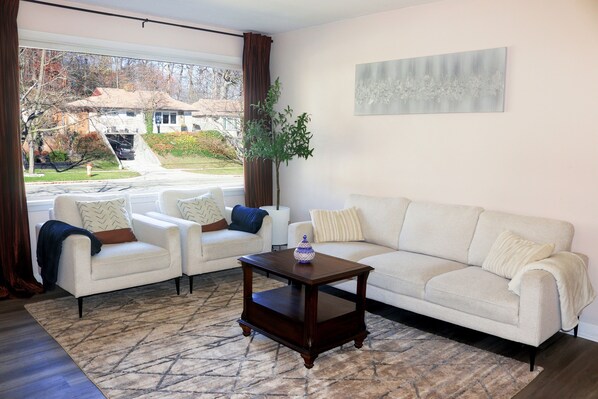 Smart TV, fireplace, books, computer monitors