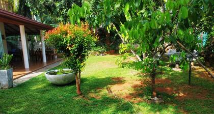 A beautiful hotel located near the udawalawa National Park