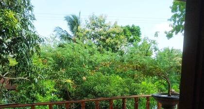 A beautiful hotel located near the udawalawa National Park