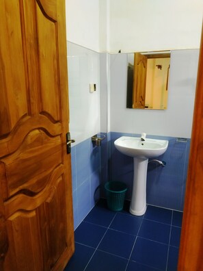 Ducha, secador de pelo, bidet, toallas