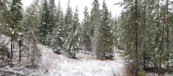 Large RV site with full hookups, surrounded by trees and nature.