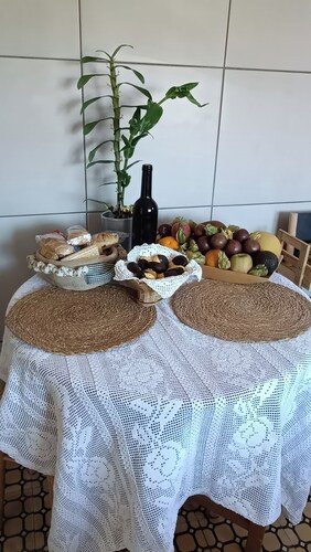 Casa D' Avó do Puto, House with swimming pool and wood oven. pet friendly. 18km from Coimbra