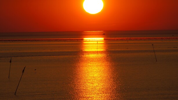 Una playa con un atardecer, mar tranquilo y un muelle que se adentra en el agua.