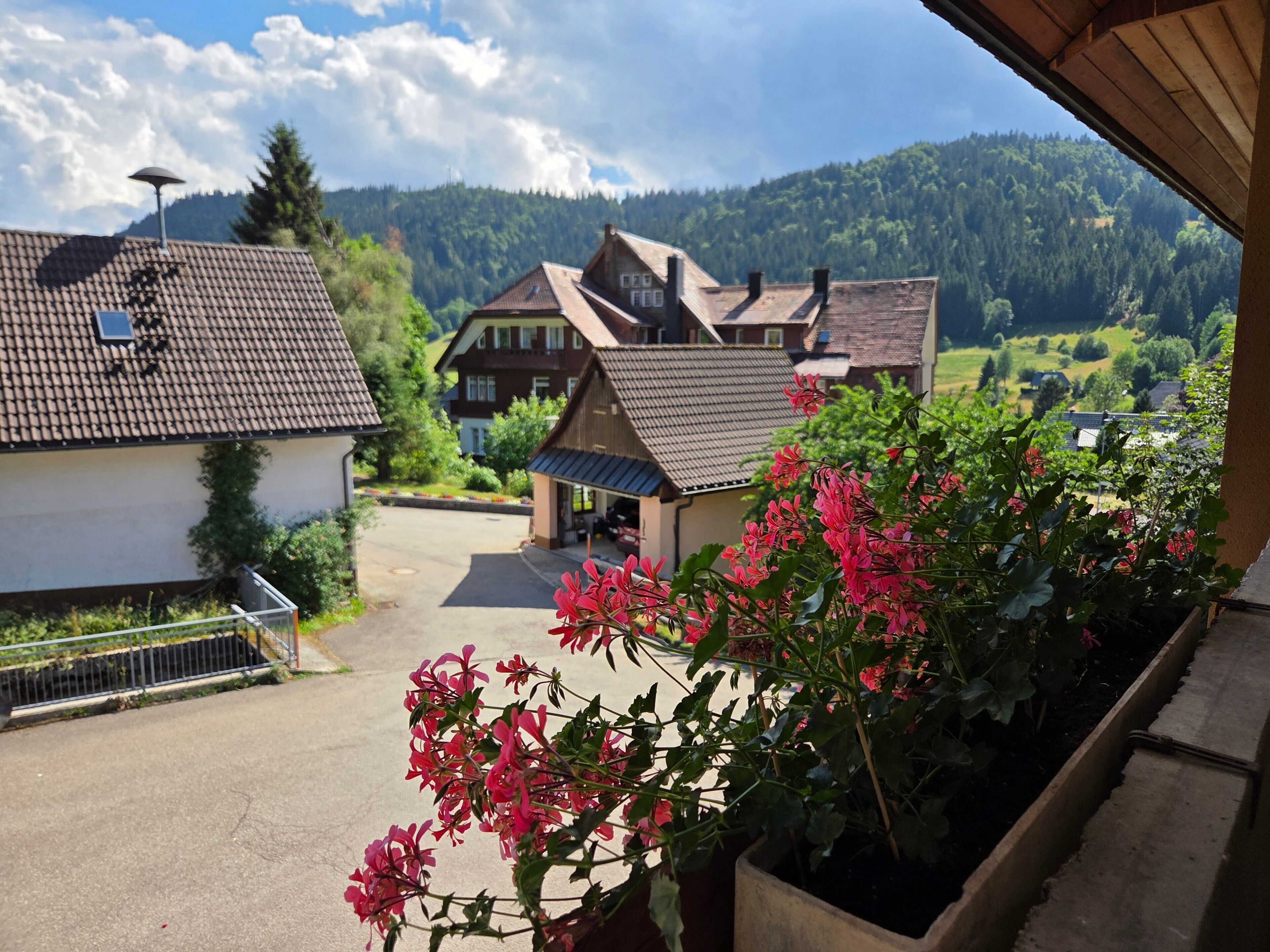A residential area with houses, a paved driveway, and a view of a forested hill.