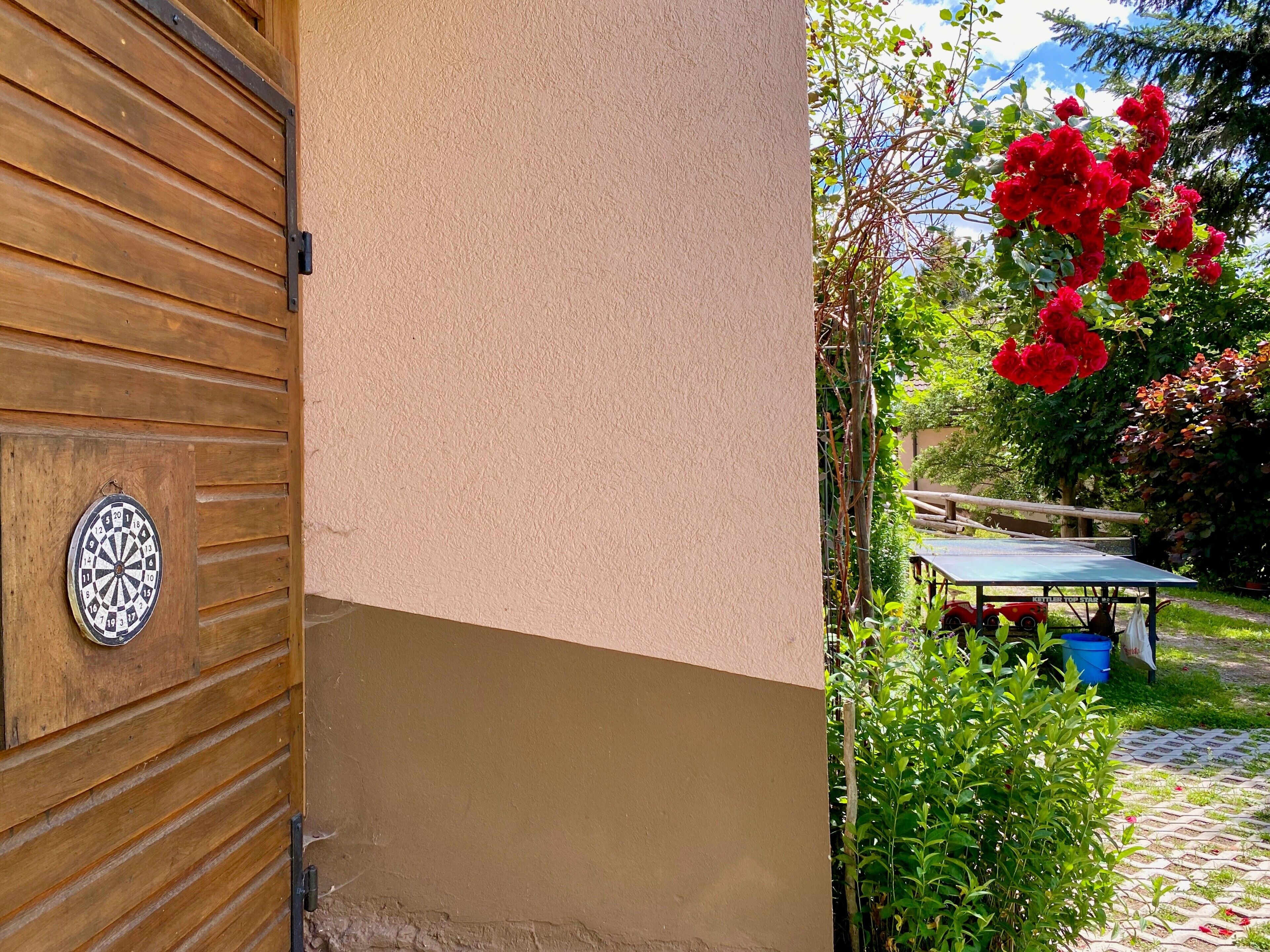 A dartboard mounted on a wooden wall, a table with a blue tablecloth, and a garden with red flowers and greenery.