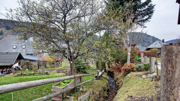 Un paysage rural avec un pont en bois, un ruisseau et des maisons en arrière-plan.