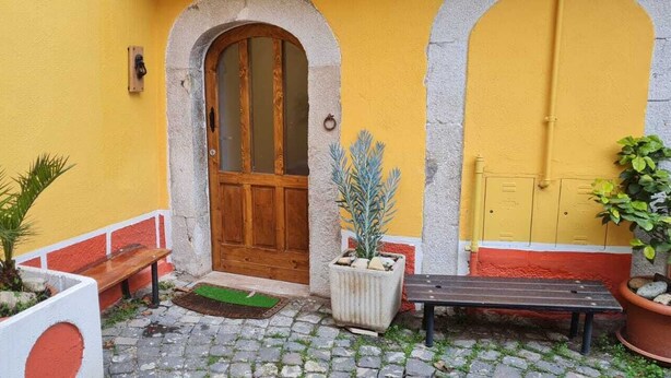 A courtyard with a wooden door, two benches, and potted plants.