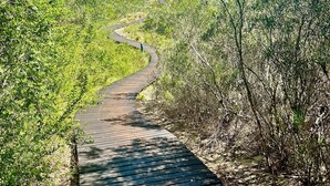 A winding wooden pathway through a natural landscape with dense vegetation on both sides. - Charming 2-bedroom apartment in the beautifully designed Gary Player Golf Estate (Plettenberg Bay)