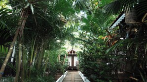 A pathway leading to a building surrounded by dense tropical foliage. - Nasya Beachside Cottages (Benaulim)