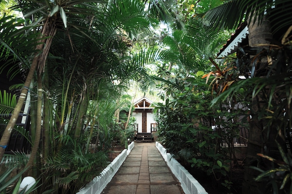 Cabaña Deluxe, vistas al jardín | Terraza o patio