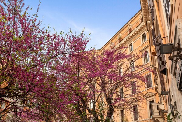 Edificio con múltiples ventanas y balcones, rodeado de árboles con flores rosadas.