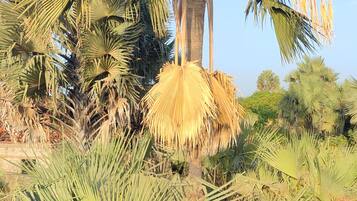 Overnattingsstedets uteområder