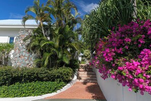 Un chemin menant à un bâtiment doté d’un mur en pierre et d’une végétation luxuriante, comprenant des palmiers et des fleurs de bougainvillier.