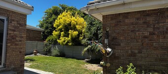 Cosy cottage in one of Cape Towns savest suburbs. Any nomad's dream.