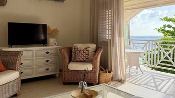 智能电视、立体声音响