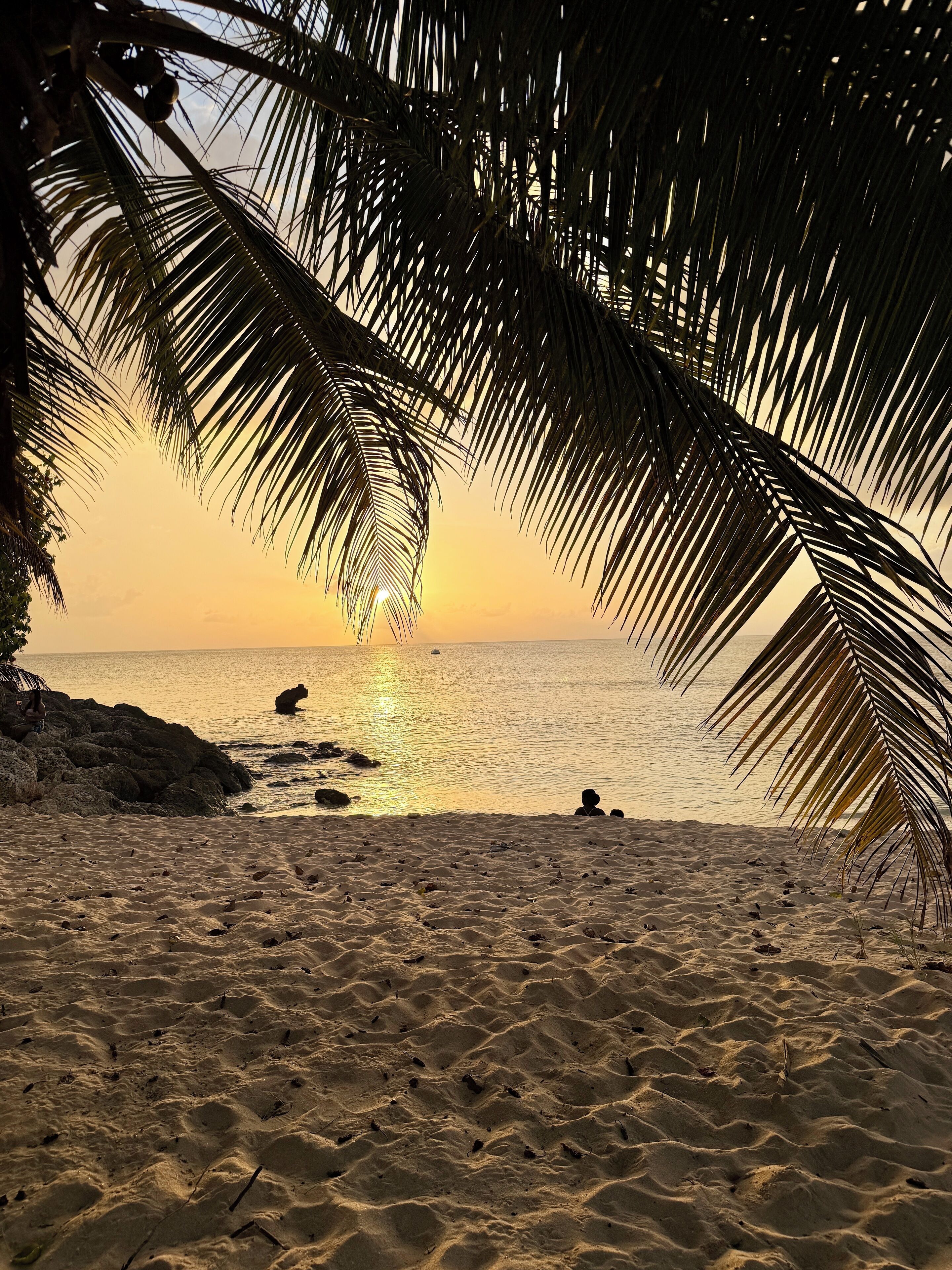 Plage, chaises longues, serviettes de plage