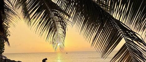 Plage, chaises longues, serviettes de plage