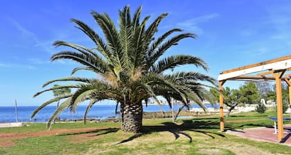 New comfortable apartment in the center of Umag