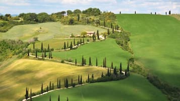 Apartment, 2Â Schlafzimmer, Terrasse, Gartenblick | Aussenbereich