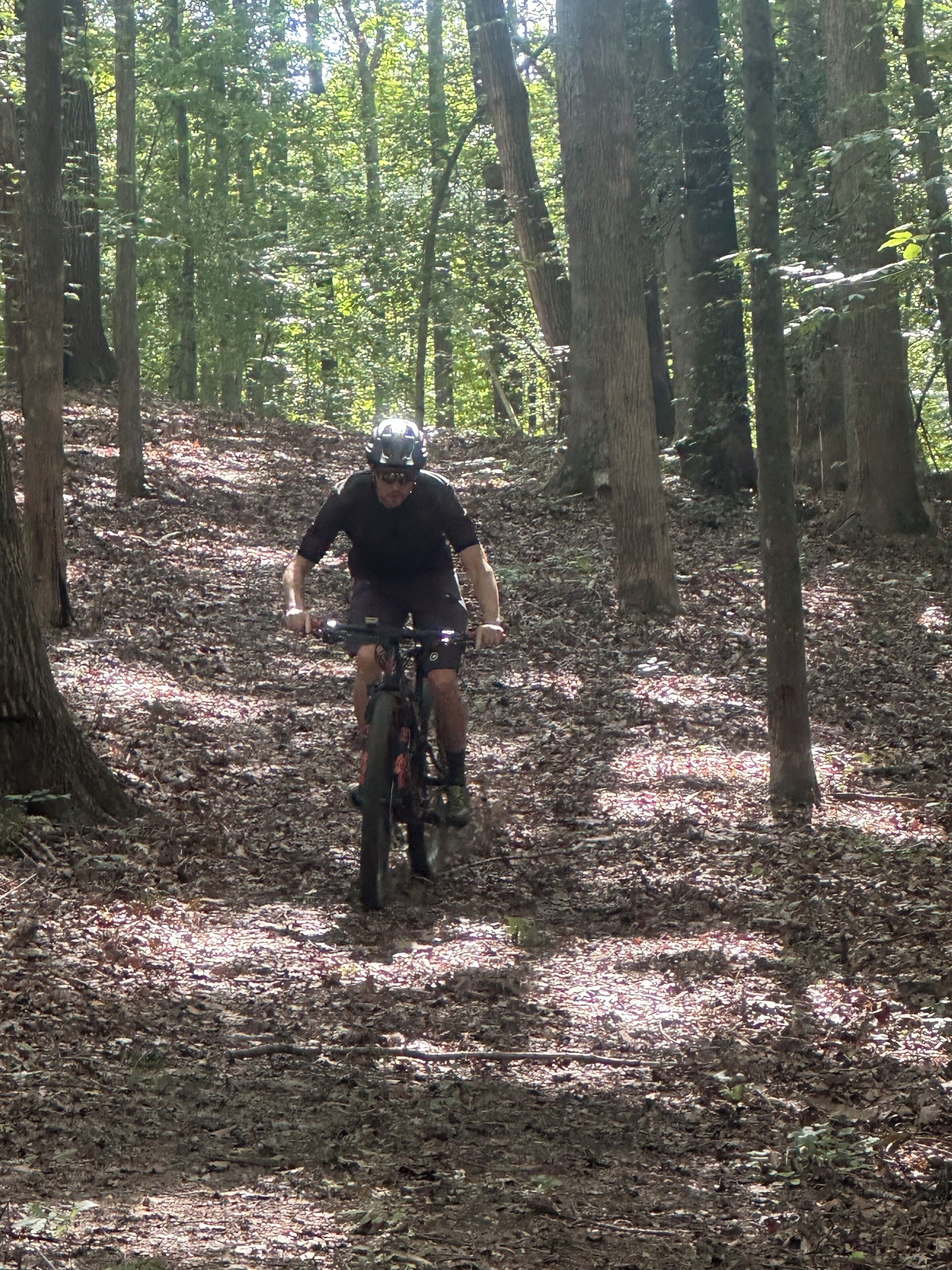 A person riding a bicycle through a forested area with trees and a ground covered in leaves.