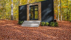 A modern cabin with a wooden exterior, a black door, and a set of steps leading to the entrance.