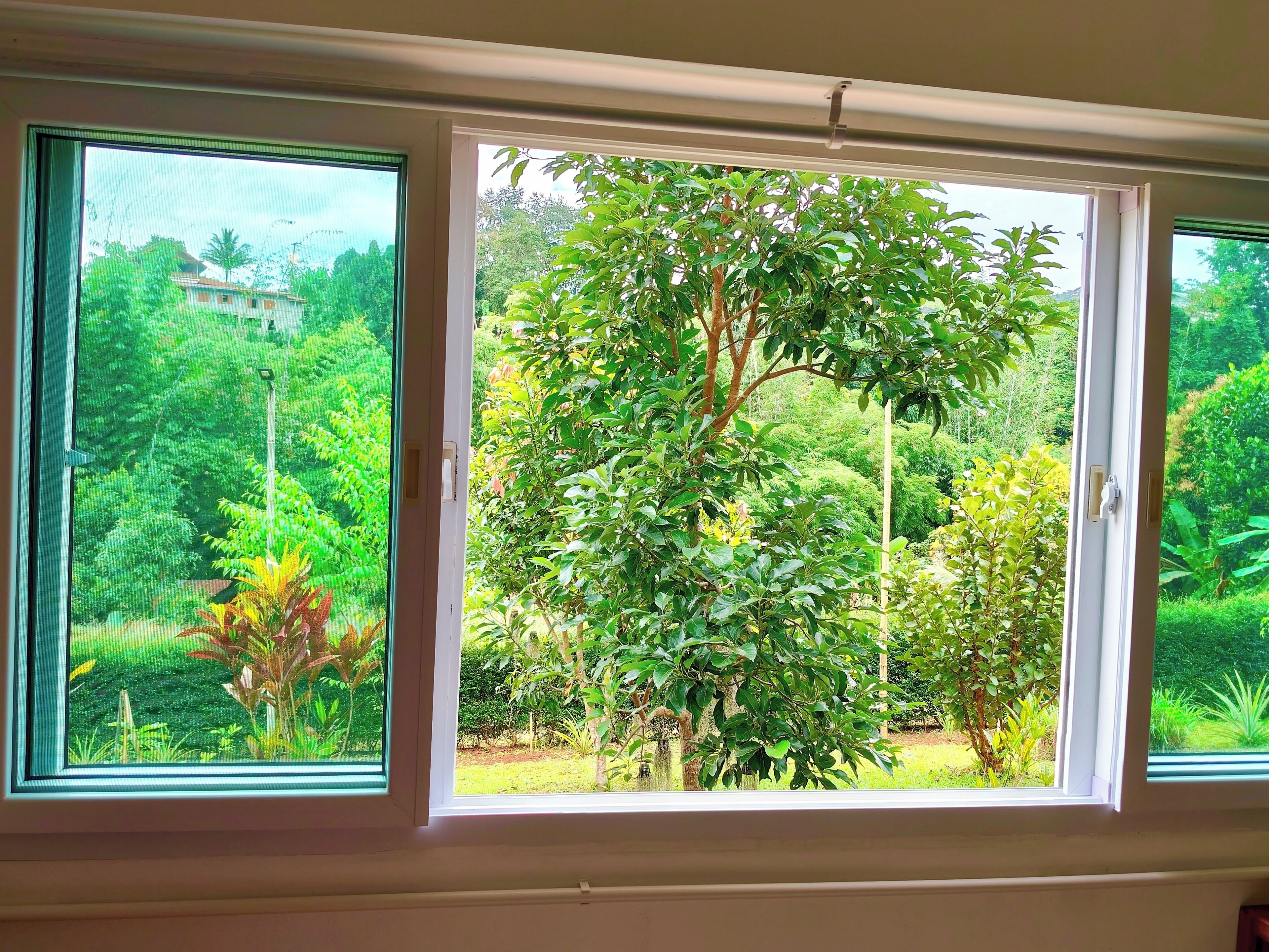 家庭雙人或雙床房, 陽台, 山景 | 花園景