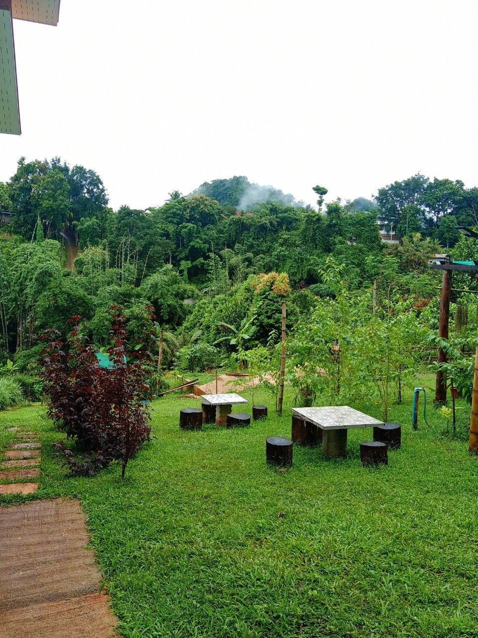 A lush garden with a small table and chairs, surrounded by dense greenery and trees.