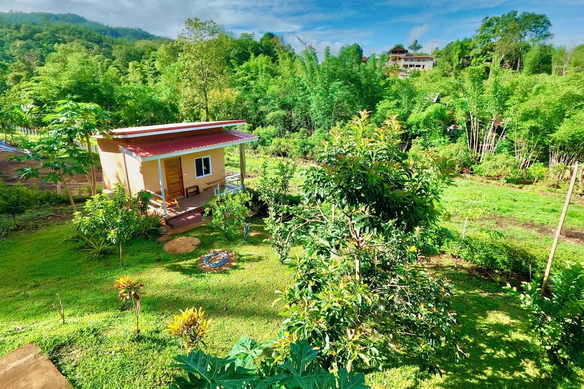 Habitación estándar con 1 cama matrimonial o 2 individuales, balcón, vista a la montaña | Escritorio y wifi gratis