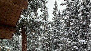 Un balcón de madera con barandillas cubiertas de nieve y vistas a árboles cargados de nieve.