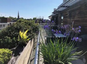 Área da propriedade