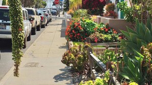 Calle bordeada por vehículos estacionados y una fila de plantas y flores.
