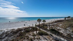 A beach with a clear sky, sandy shore, and a few palm trees.