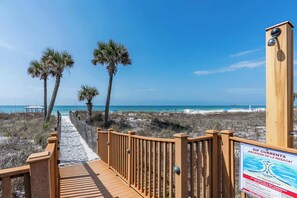 A wooden boardwalk leading to a beach with palm trees and a clear blue sky. - Beachfront Days | Ocean View, Beachfront | Activity Experiences (Panama City Beach)