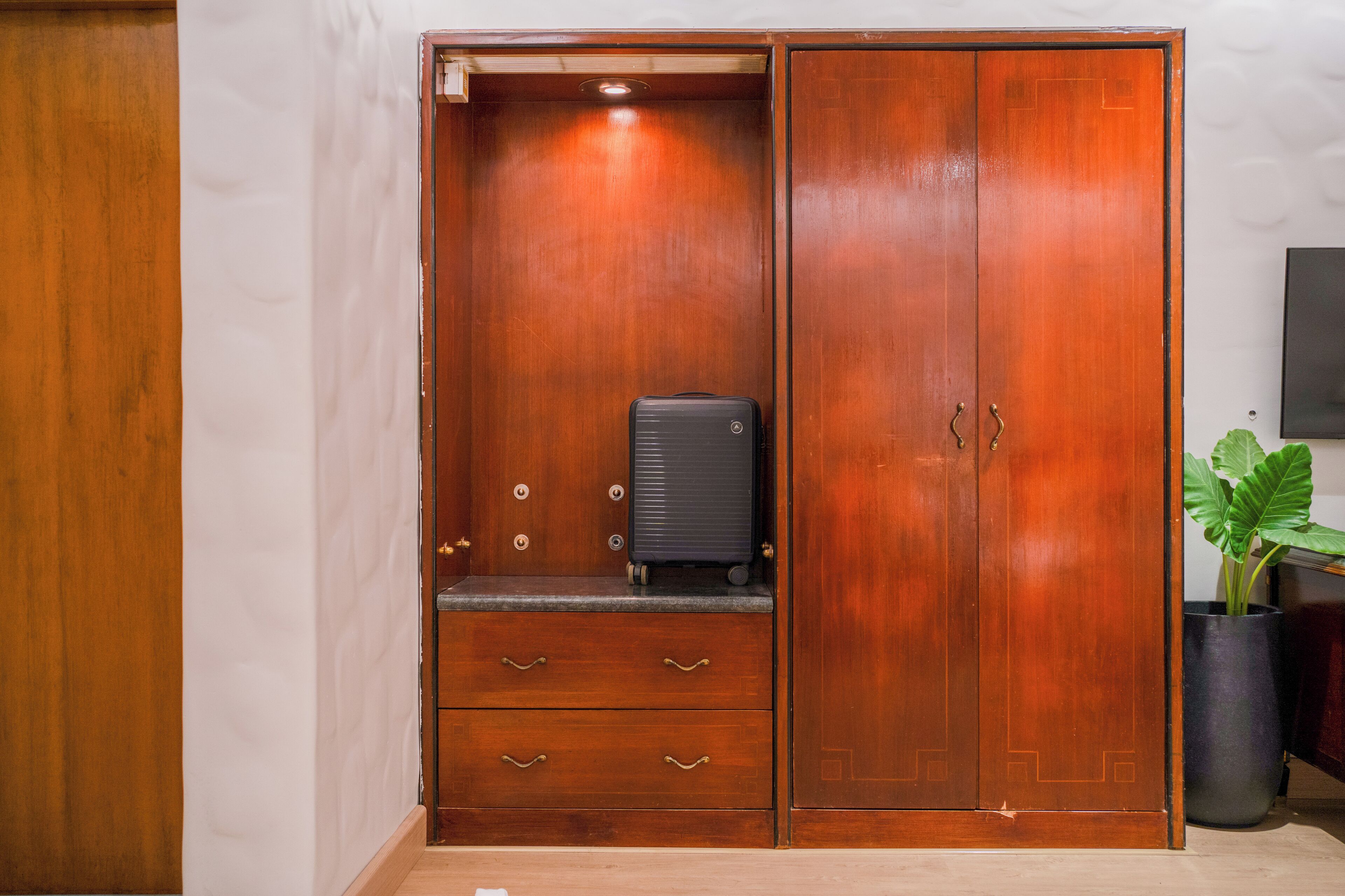 Un armario de madera con una maleta en su interior, una planta en maceta y un televisor de pantalla plana a la derecha.
