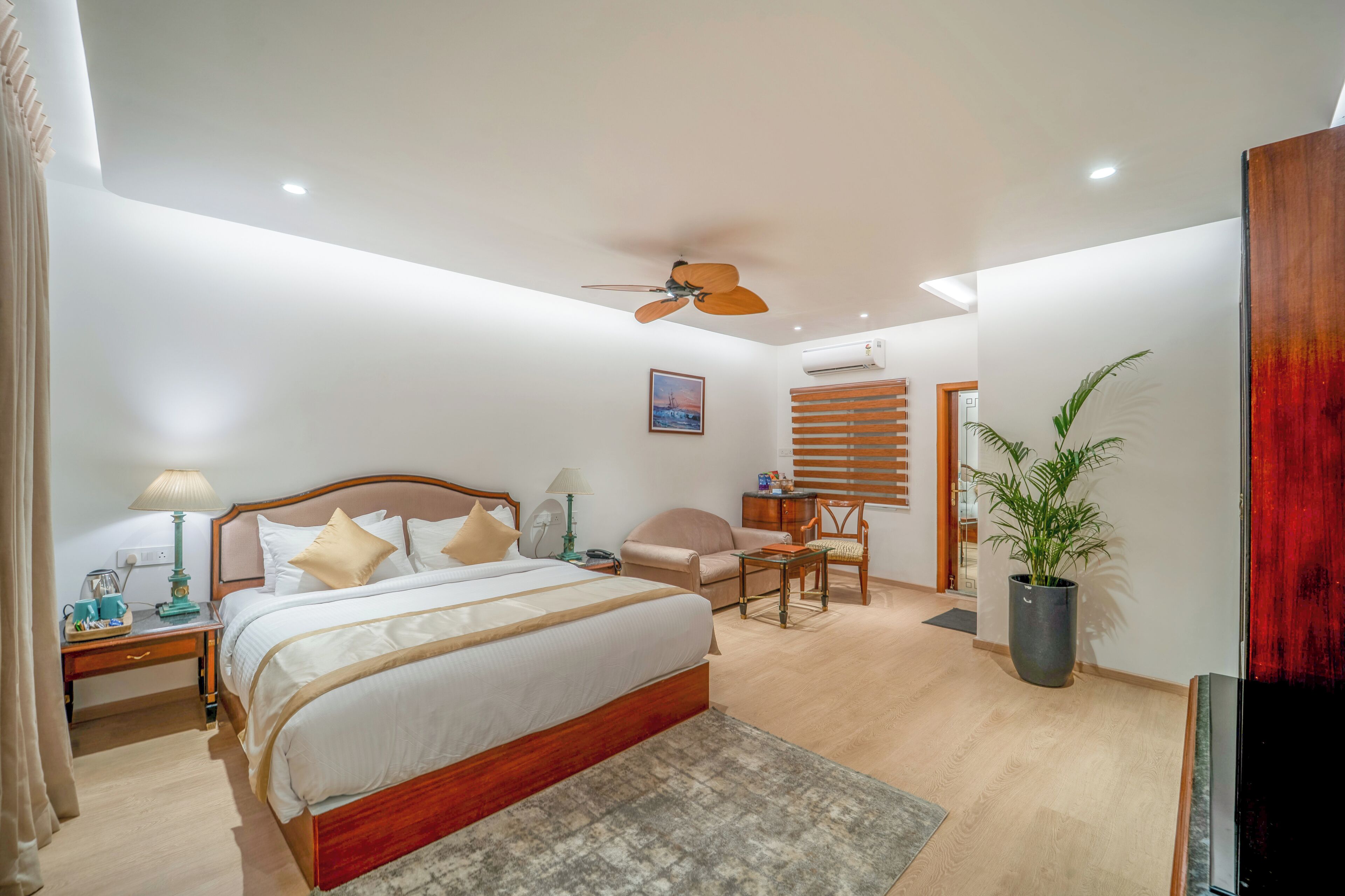 A bedroom with a bed, bedside tables, a desk, a chair, a ceiling fan, a potted plant, and a TV.