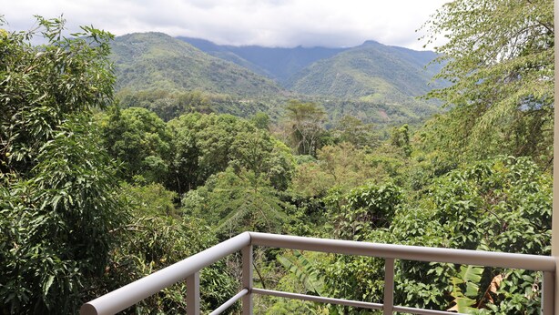 A lush green valley with mountains in the background and a balcony railing in the foreground. - Hotel Virrey (San Ramón)